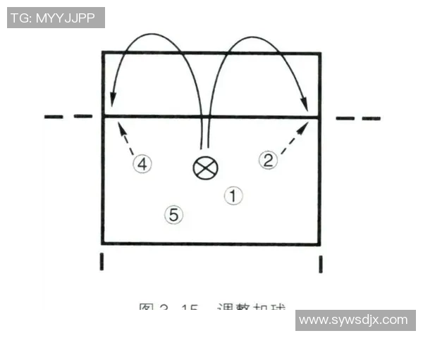 深圳排球队反击战术全解析深度剖析排球竞技中的策略与技巧