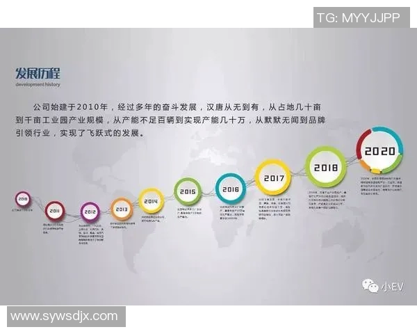 武汉足球队崛起之路精英赛背后的奋斗与荣耀