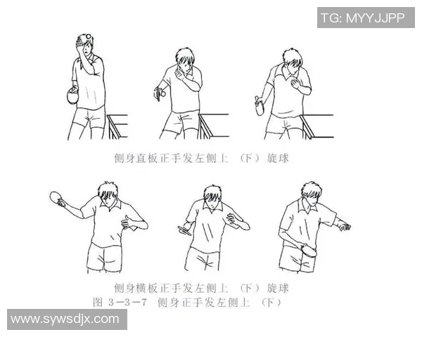 乒乓球深度解析：揭秘上海乒乓球队的战术控制与训练秘诀