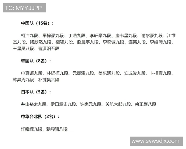 成都排球队在杯赛中的灵活战术运用与表现分析