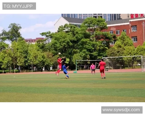 杭州篮球队边路渗透战术解析与应用探讨