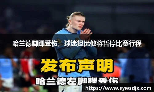zoty中欧官方网站