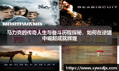 zoty中欧官方网站