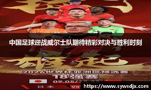 zoty中欧