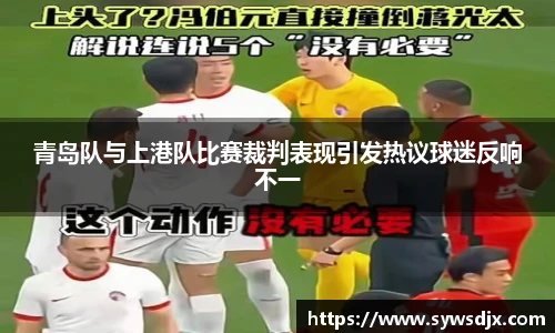 青岛队与上港队比赛裁判表现引发热议球迷反响不一